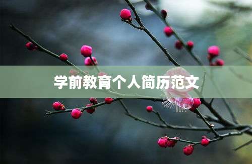 学前教育个人简历范文