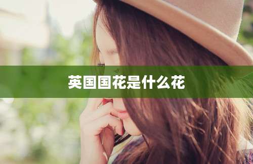 英国国花是什么花