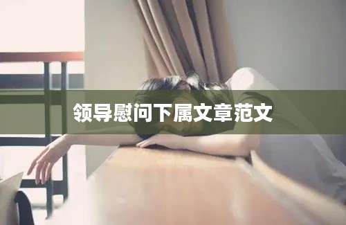 领导慰问下属文章范文