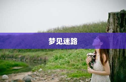 梦见迷路