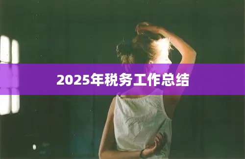 2025年税务工作总结