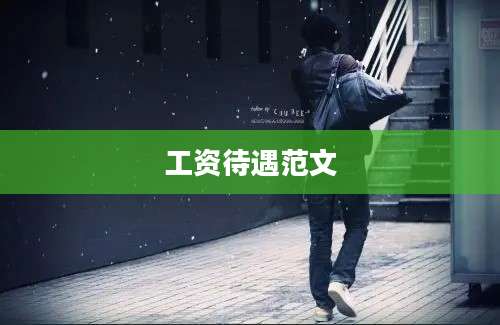 工资待遇范文
