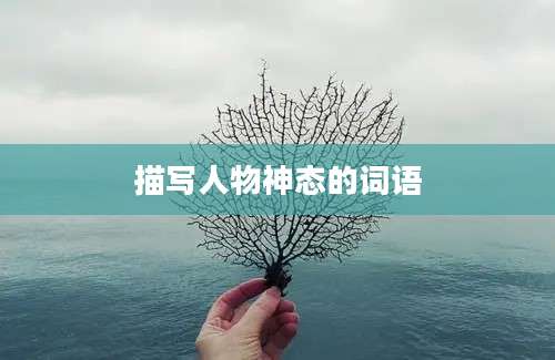 描写人物神态的词语