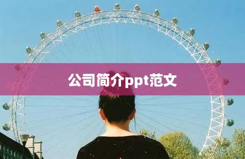 公司简介ppt范文
