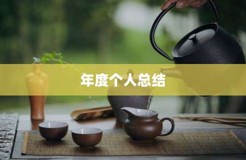 年度个人总结