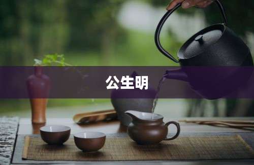 公生明