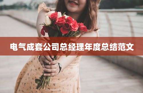 电气成套公司总经理年度总结范文