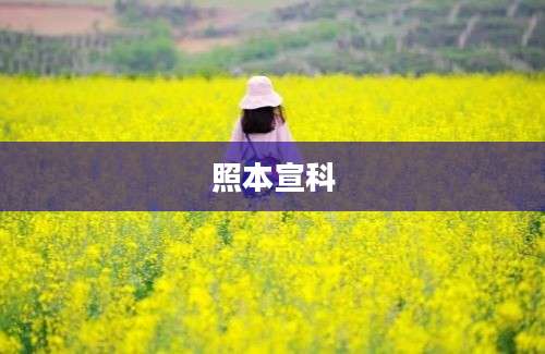照本宣科