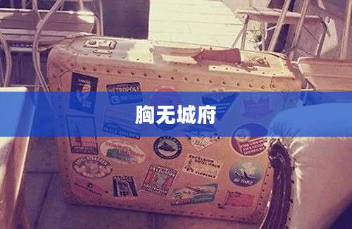 胸无城府