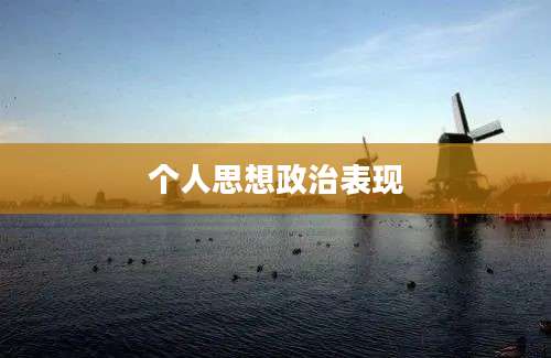 个人思想政治表现