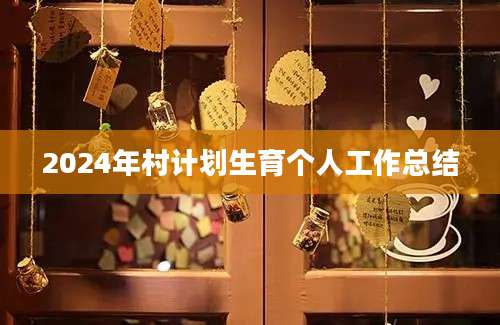 2024年村计划生育个人工作总结