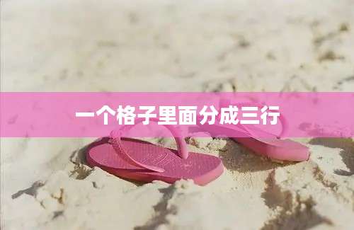 一个格子里面分成三行