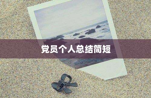 党员个人总结简短