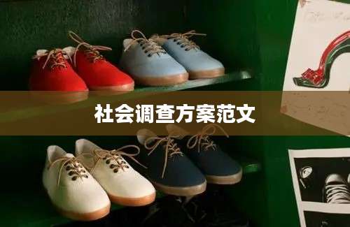 社会调查方案范文