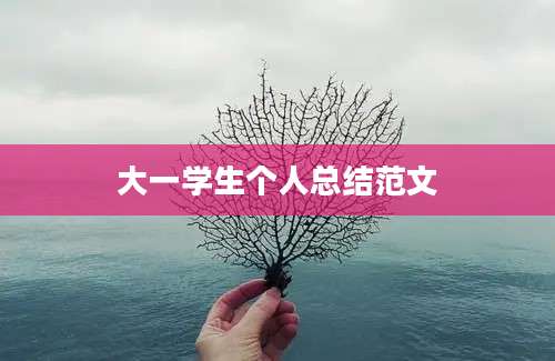 大一学生个人总结范文
