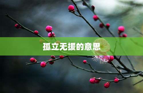 孤立无援的意思