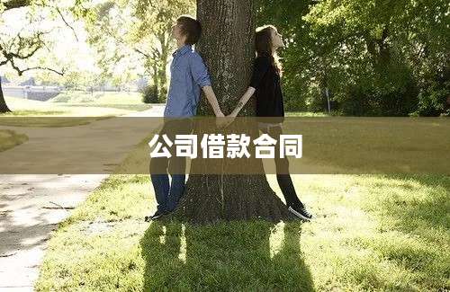 公司借款合同
