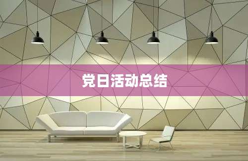 党日活动总结