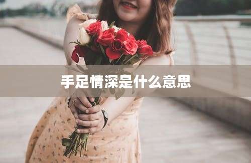 手足情深是什么意思