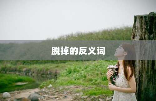 脱掉的反义词