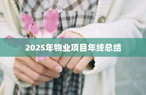 2025年物业项目年终总结