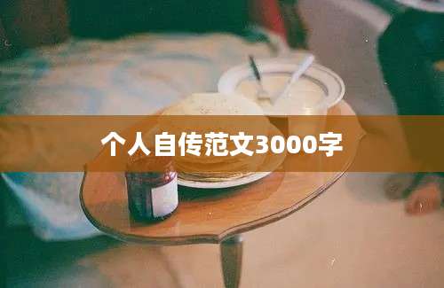 个人自传范文3000字