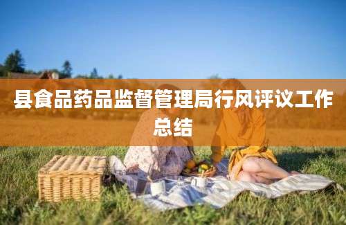 县食品药品监督管理局行风评议工作总结