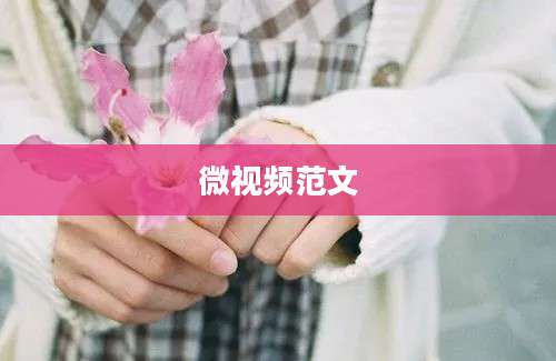 微视频范文