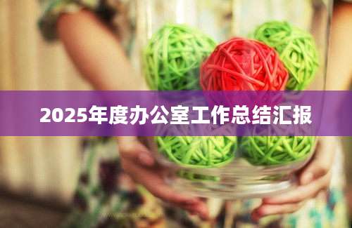 2025年度办公室工作总结汇报