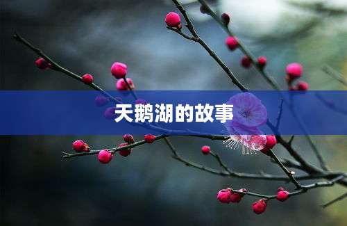 天鹅湖的故事
