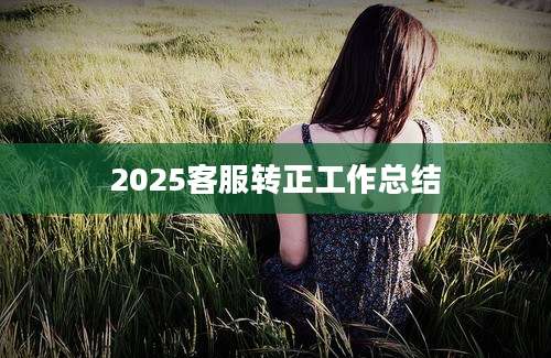 2025客服转正工作总结