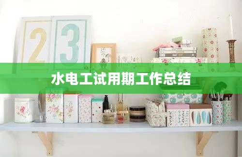 水电工试用期工作总结