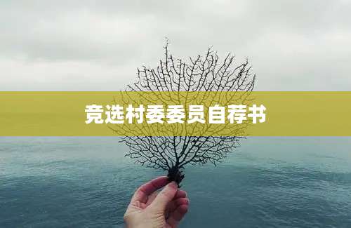 竞选村委委员自荐书