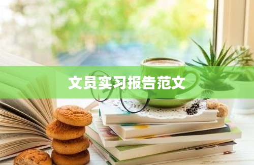 文员实习报告范文