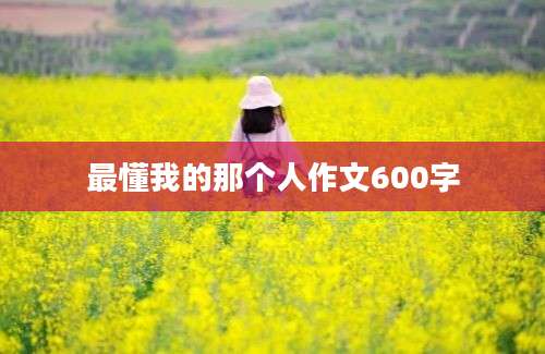 最懂我的那个人作文600字