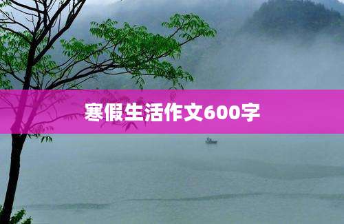 寒假生活作文600字