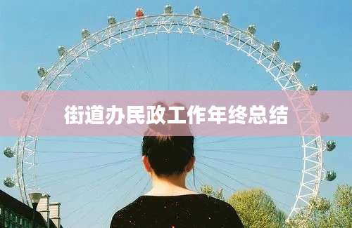 街道办民政工作年终总结