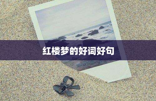 红楼梦的好词好句