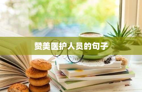 赞美医护人员的句子