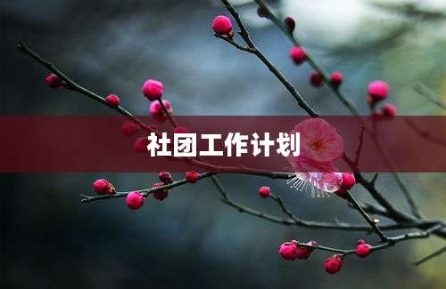 社团工作计划