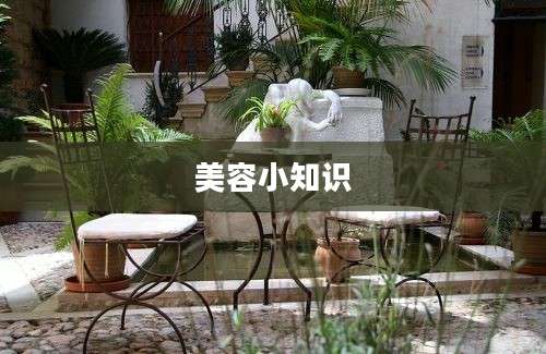 美容小知识
