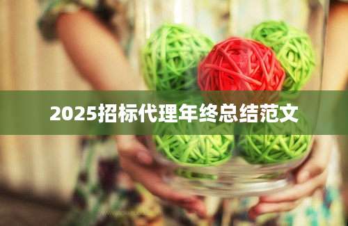 2025招标代理年终总结范文