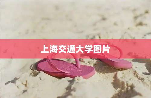上海交通大学图片