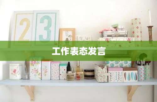 工作表态发言