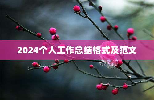 2024个人工作总结格式及范文