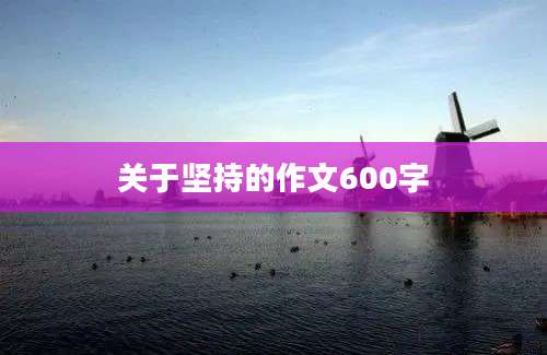 关于坚持的作文600字