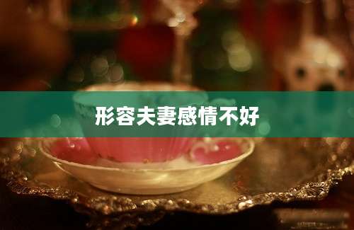 形容夫妻感情不好