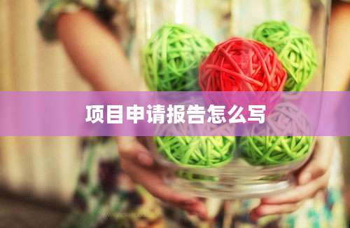 项目申请报告怎么写