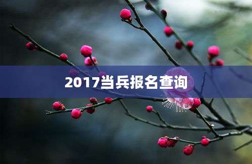 2017当兵报名查询