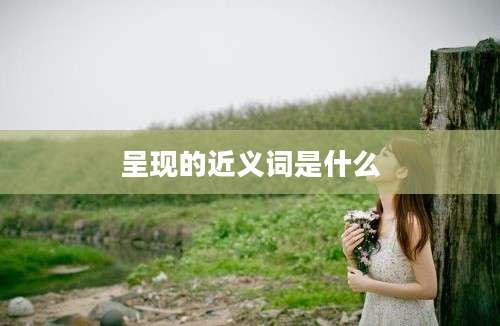呈现的近义词是什么